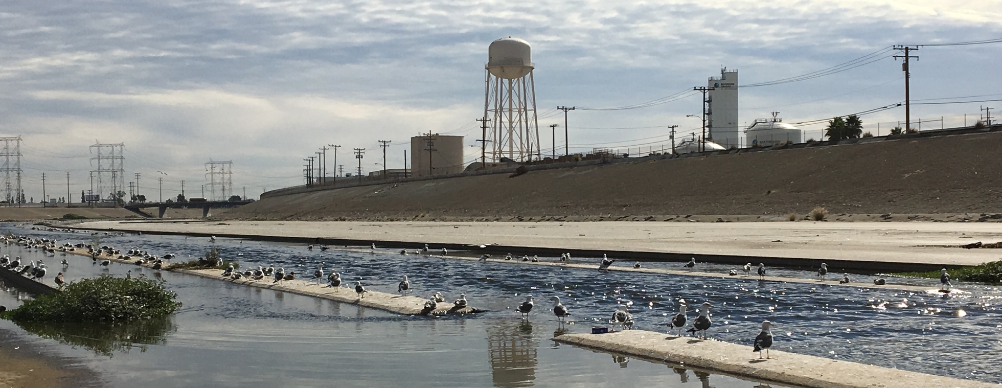 June RAFT Field Day - SELA