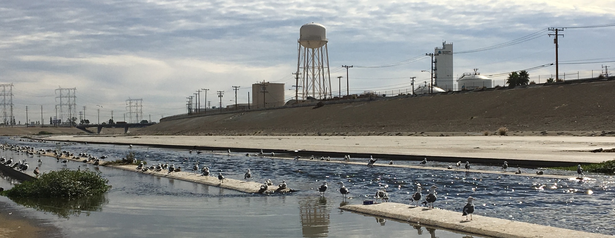 July RAFT Field Day